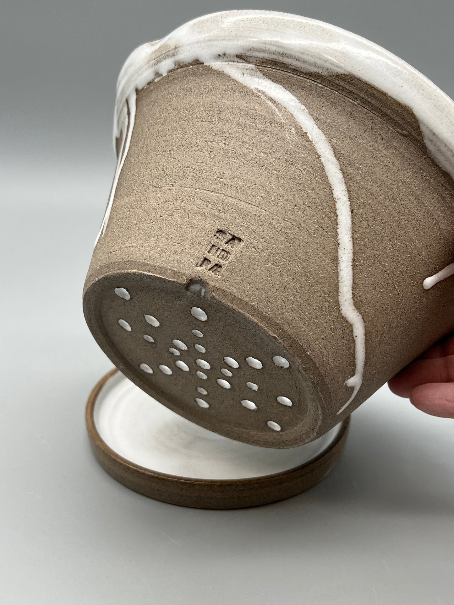 Bärskål│ Mullvad/Vit